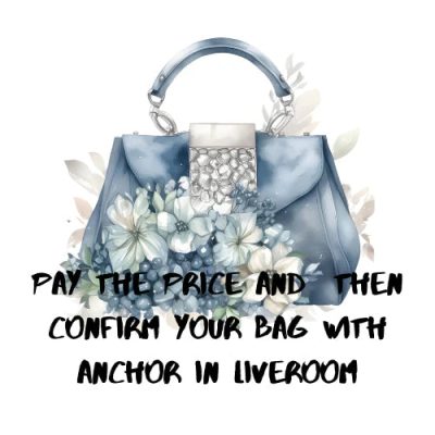 Bian bag-Ladies fashion leather bags new design